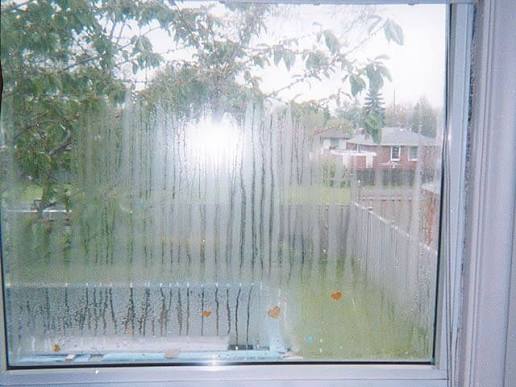 Foggy double-pane window with condensation trapped between glass panes in a Glenwood Springs, Colorado home.