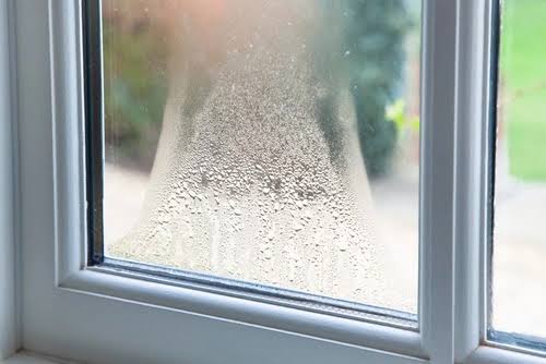 Hazy double-pane window glass showing condensation between panes in a Grand Junction, Colorado home.